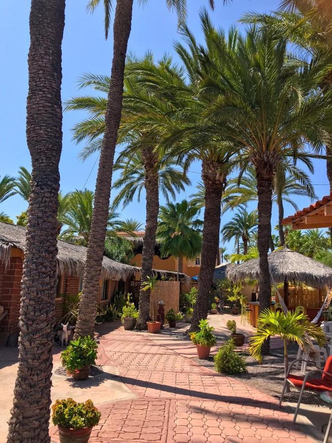 Sukasa Bungalows Loreto  Zewnętrze zdjęcie